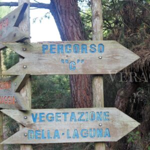 Porto Caleri, la spiaggia libera e il giardino botanico