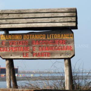 Porto Caleri, la spiaggia libera e il giardino botanico