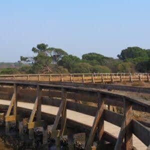 Porto Caleri, la spiaggia libera e il giardino botanico