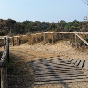 Porto Caleri, la spiaggia libera e il giardino botanico