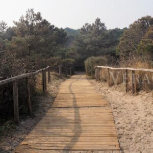 Porto Caleri, la spiaggia libera e il giardino botanico