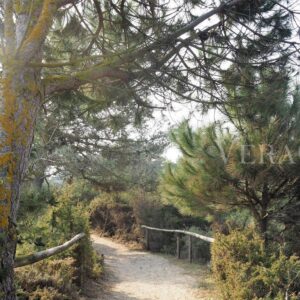 Porto Caleri, la spiaggia libera e il giardino botanico