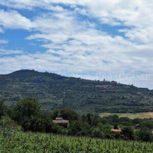 Cortona Toscana