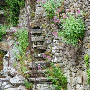 Le Celle di Cortona, l’eremo di San Francesco in Toscana