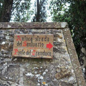 Le Celle di Cortona, l’eremo di San Francesco in Toscana