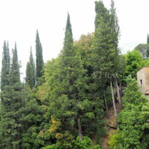 Le Celle di Cortona, l’eremo di San Francesco in Toscana