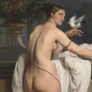 Hayez F. - Venere che scherza con due colombe, olio su tela 