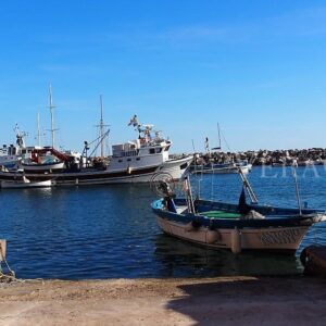 Visitare l’isola di Procida, una vacanza tra mare e cultura