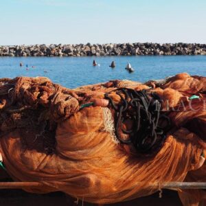 Visitare l’isola di Procida, una vacanza tra mare e cultura