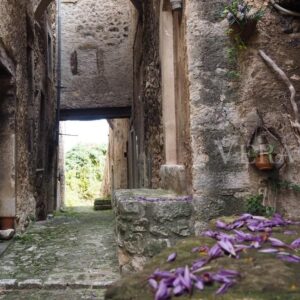 Navelli, il borgo dello zafferano in Abruzzo