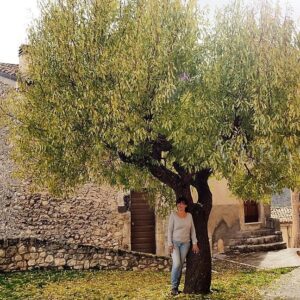 Navelli, il borgo dello zafferano in Abruzzo