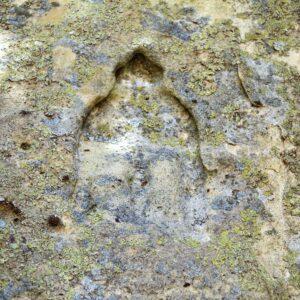 Le grotte della Gurfa in Sicilia ed il mistero della trasfigurazione