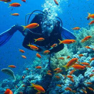 Una vacanza a Sharm, esplorando il deserto in bicicletta