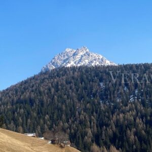 Alto Adige d’inverno: dove andare per una vacanza neve, sci e cultura