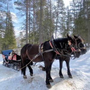 Alto Adige d’inverno: dove andare per una vacanza neve, sci e cultura