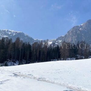 Alto Adige d’inverno: dove andare per una vacanza neve, sci e cultura