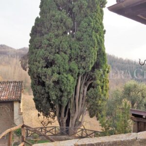 Borgo La Scola, luogo senza tempo sull’Appennino bolognese