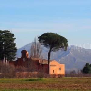 Colle Ameno, l’antico borgo con osteria nel cuore dell’Emilia-Romagna