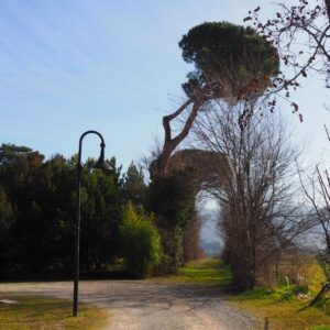 Colle Ameno, l’antico borgo con osteria nel cuore dell’Emilia-Romagna