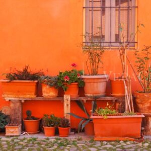 Colle Ameno, l’antico borgo con osteria nel cuore dell’Emilia-Romagna