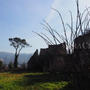 Colle Ameno, l’antico borgo con osteria nel cuore dell’Emilia-Romagna