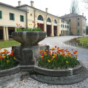 Villa Rechsteiner Treviso