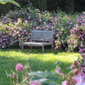 Visitare il Castello di Cordovado ed il labirinto di rose in Friuli Venezia Giulia