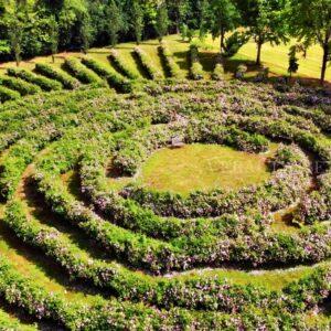 Visitare il Castello di Cordovado ed il labirinto di rose in Friuli Venezia Giulia