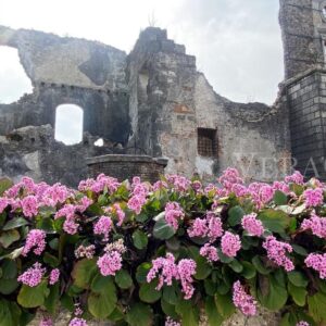 Il Castello di San Salvatore a Susegana e le colline del Prosecco