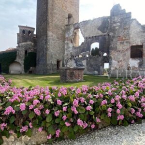 Il Castello di San Salvatore a Susegana e le colline del Prosecco