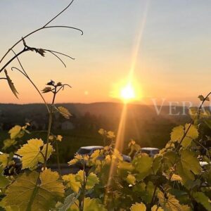 Soave Verona