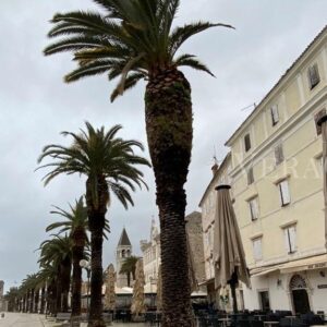 Visitare Traù – Trogir, città dell’UNESCO in Croazia