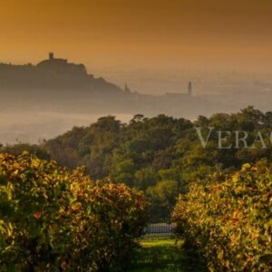 Vigneti della zona del Soave e il castello scaligero sullo sfondo, Soave, VR, Veneto, Italy