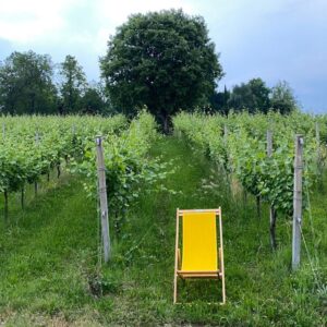 Cantina Io Mazzucato di Breganze, dove la degustazione diventa un piacere