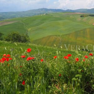 Pietramontecorvino, il borgo in Puglia da scoprire