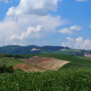 Pietramontecorvino, il borgo in Puglia da scoprire