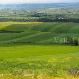 Pietramontecorvino, il borgo in Puglia da scoprire