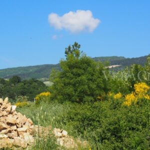 Pietramontecorvino, il borgo in Puglia da scoprire