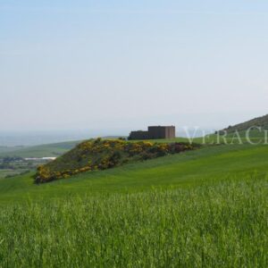 Pietramontecorvino, il borgo in Puglia da scoprire