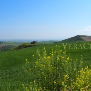 Pietramontecorvino, il borgo in Puglia da scoprire