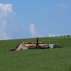 Pietramontecorvino, il borgo in Puglia da scoprire