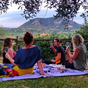 Cinema in cantina, serate culturali ed enogastronomiche sui colli Euganei