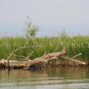 L’Isola dell’Amore con il Faro di Goro, il Delta del Po segreto