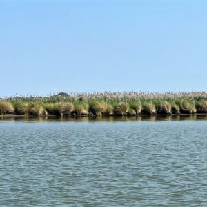 L’Isola dell’Amore con il Faro di Goro, il Delta del Po segreto