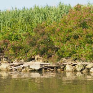 L’Isola dell’Amore con il Faro di Goro, il Delta del Po segreto