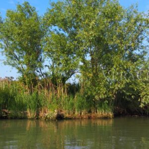 L’Isola dell’Amore con il Faro di Goro, il Delta del Po segreto