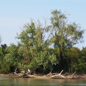 L’Isola dell’Amore con il Faro di Goro, il Delta del Po segreto