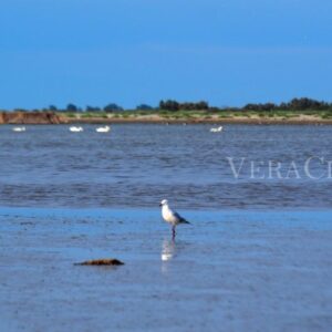 L’Isola dell’Amore con il Faro di Goro, il Delta del Po segreto