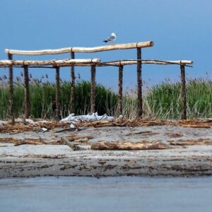 L’Isola dell’Amore con il Faro di Goro, il Delta del Po segreto