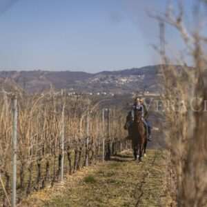 Cà del Moro Wine Retreat, enogastronomia e charme per una vacanza sui colli di Verona